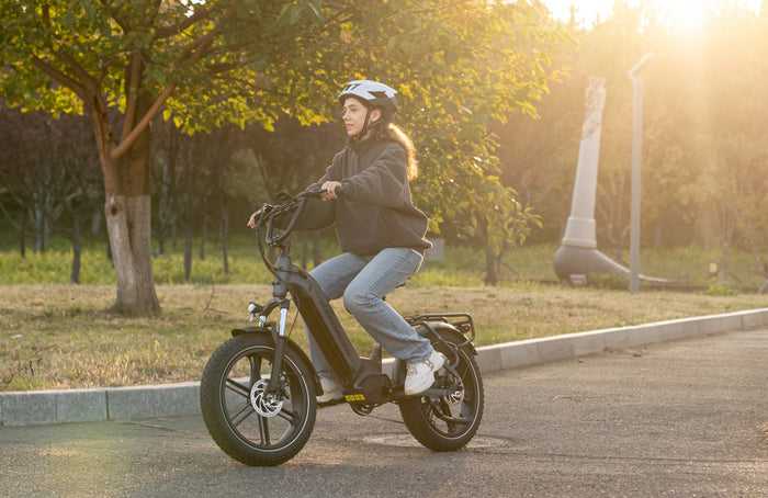 ECORUSH ECO R6 visureigis elektrinis dviratis