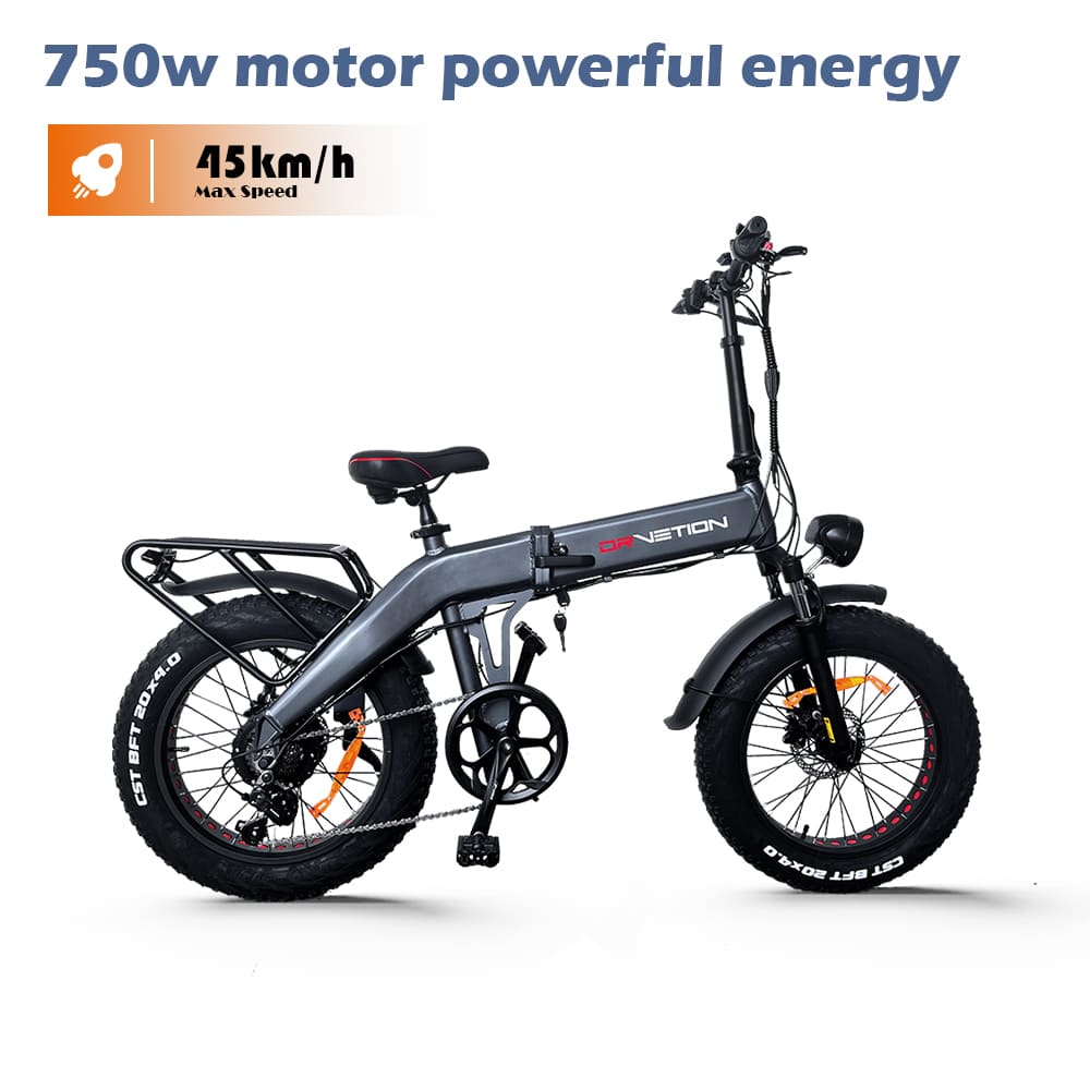DrveTion BT20 750W elektrinis dviratis 45km/h