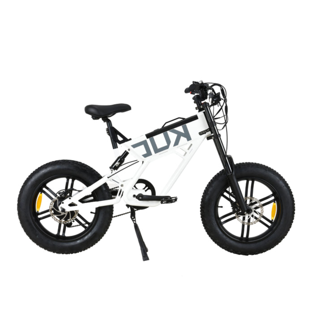KUGOO T01 500W elektrinis dviratis