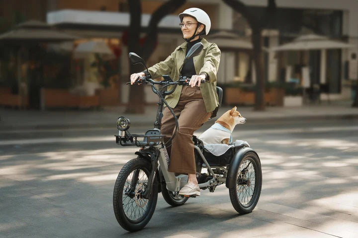 FAFREES F20 Mate II – Patogus elektrinis triratis su iki 100 km nuvažiuojamu atstumu