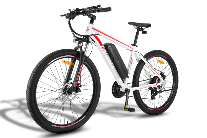 FAFREES F28 MT 250W elektrinis dviratis