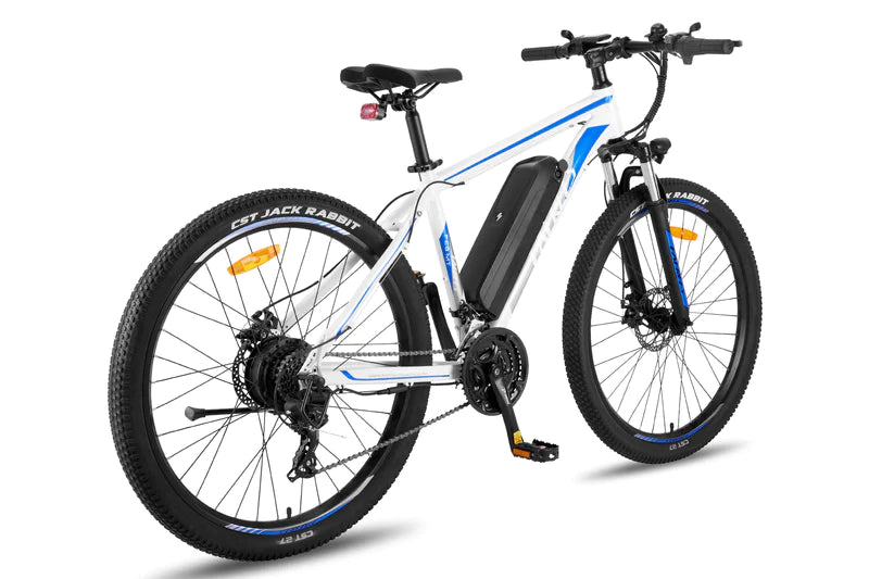 FAFREES F28 MT 250W elektrinis dviratis