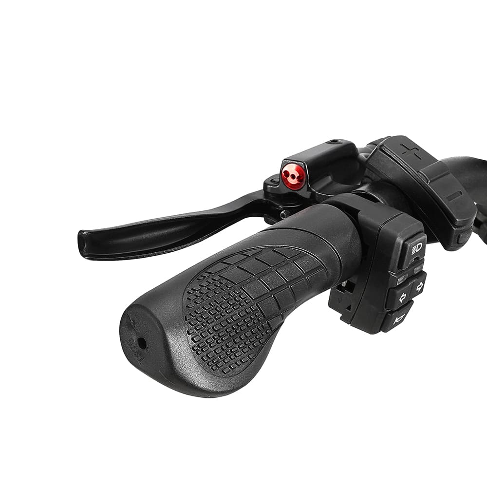 DrveTion BT20 750W elektrinis dviratis 45km/h