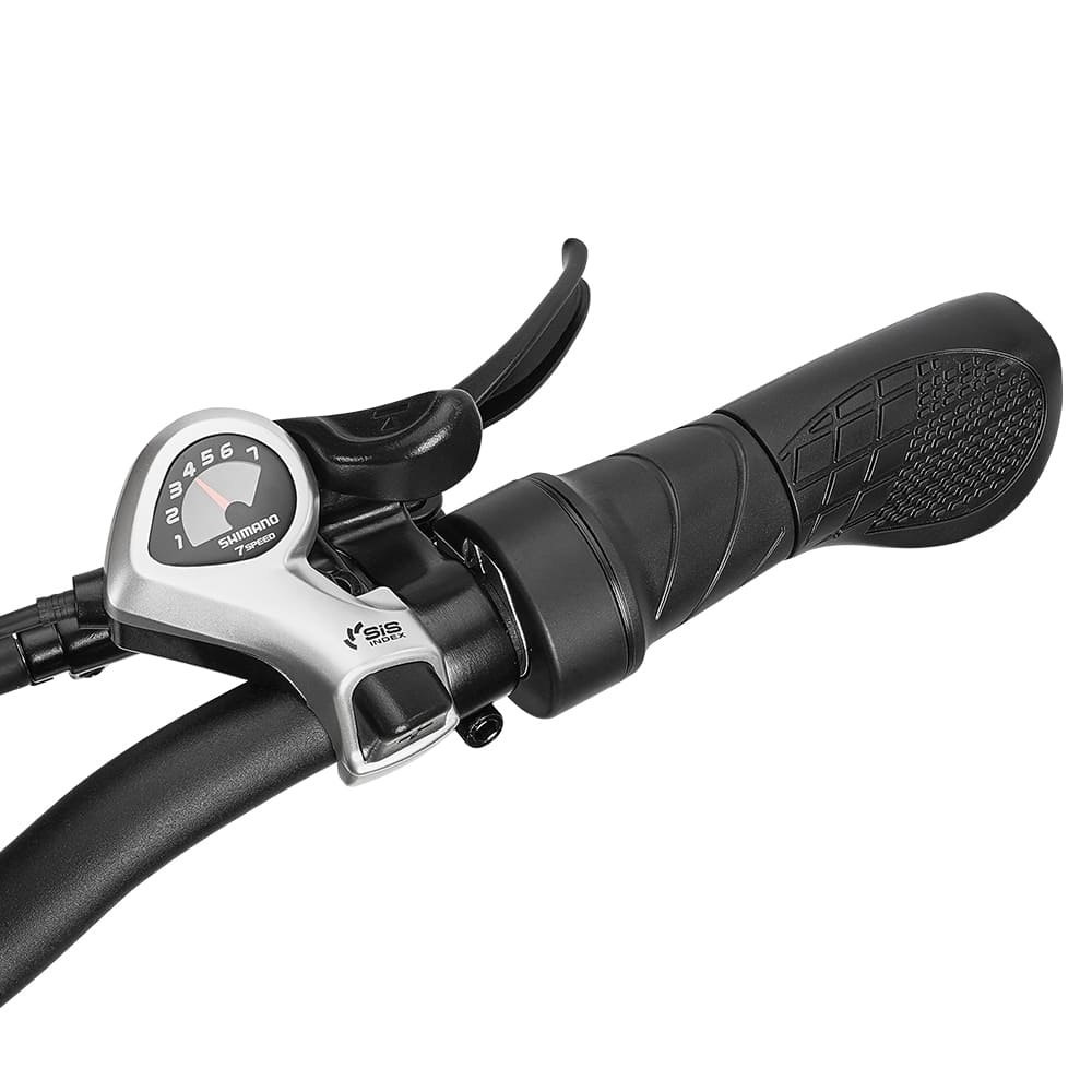 DrveTion BT20 750W elektrinis dviratis 45km/h