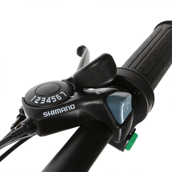 SAMEBIKE 20LVXD30 sulankstomas mini elektrinis dviratis