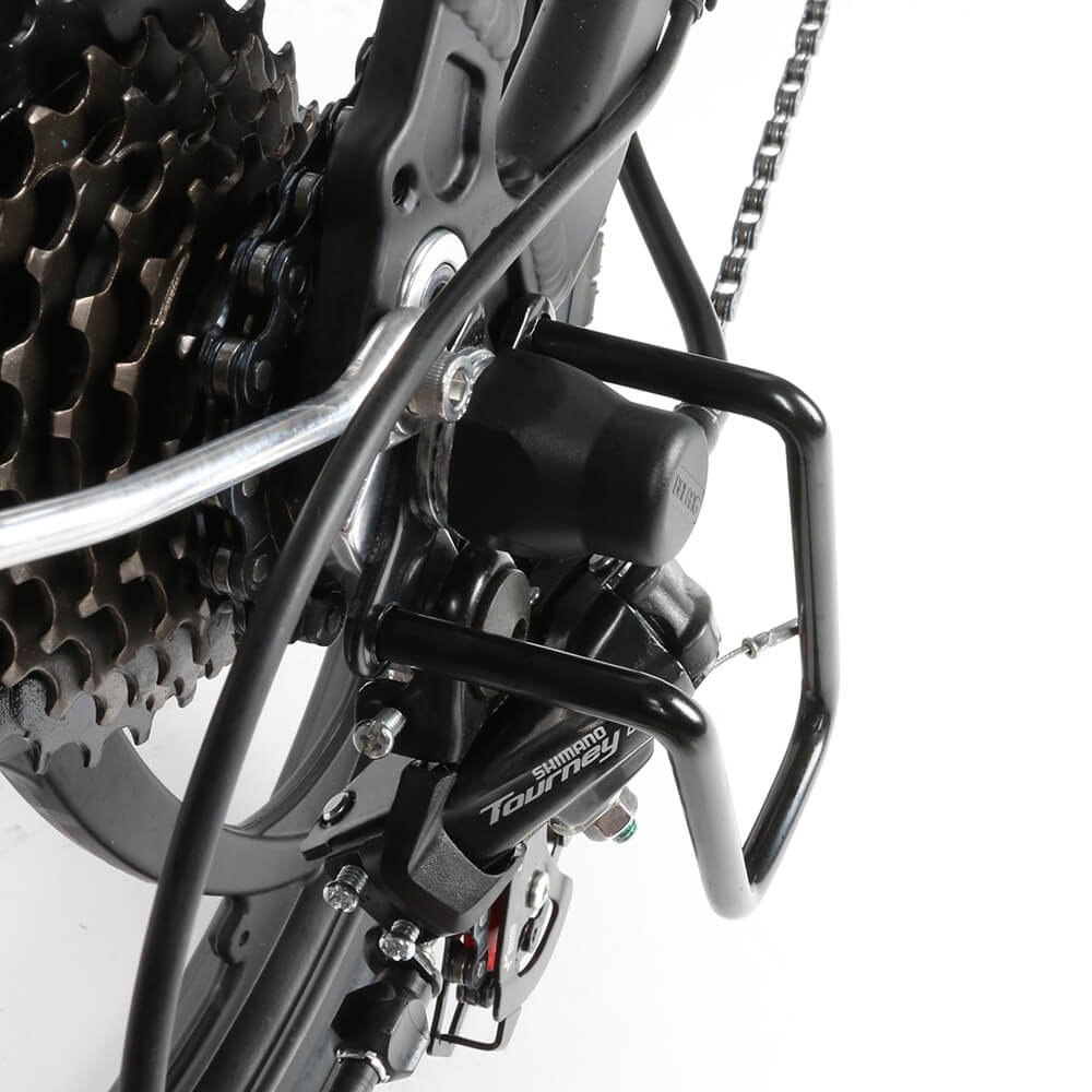 SAMEBIKE 20LVXD30-II 350W elektrinis dviratis 100km 35km/val.