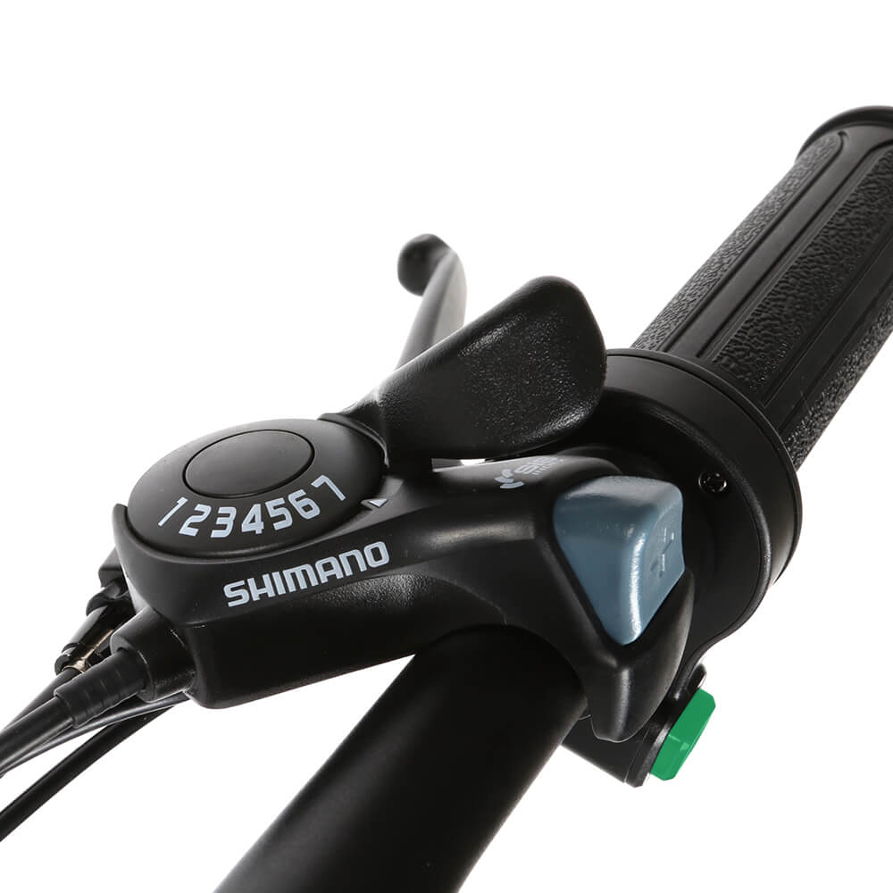 SAMEBIKE 20LVXD30-II 350W elektrinis dviratis 100km 35km/val.