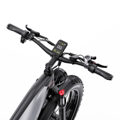 DUOTTS F26 Elektrinis Dviratis 750W Dvigubas Variklis