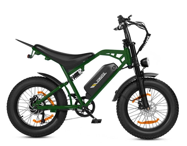 ESKUTE V202 – Retro stiliaus elektrinis dviratis