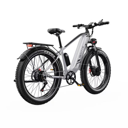 DUOTTS F26 elektrinis dviratis 750W dvigubas variklis