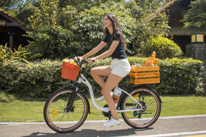 DYU C6 Pro 26 colių elektrinis miesto kalnų dviratis