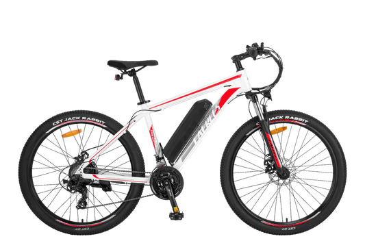 FAFREES F28 MT 65 km nuotolio universalus elektrinis dviratis