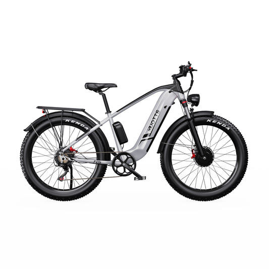 DUOTTS F26 Elektrinis Dviratis 750W Dvigubas Variklis