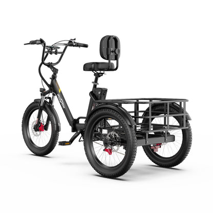 Onesport OT30 Pro E-Trike Elektrinis triratis