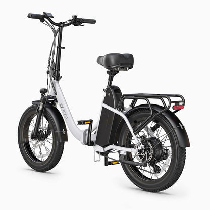 DYU C9 20colių ilgo nuotolio sulankstoma elektrinė dviračio