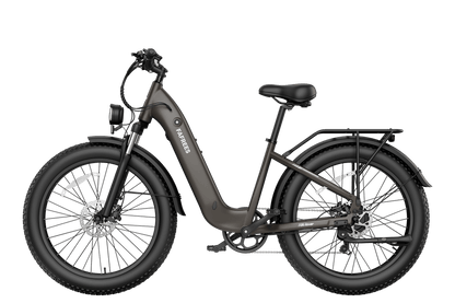 FAFREES F26 Rover elektrinis dviratis – produkto vaizdas 17