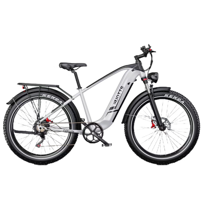 DUOTTS F26 Lite elektrinis dviratis – 750W galingas variklis,visureigio galimybės
