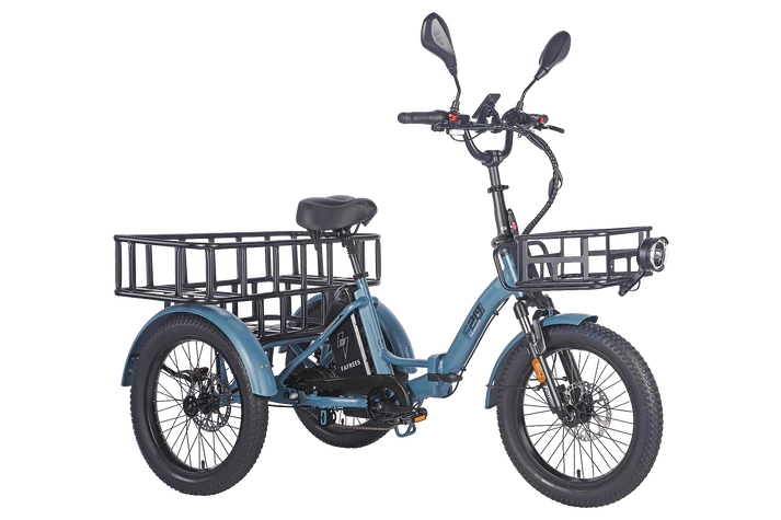 FAFREES F20 Mate teisėtas miesto elektrinis triratis (L2e-P sertifikatas)