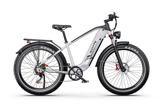 DUOTTS F26Lite elektrinis dviratis – 750W galingas variklis,visureigio galimybės