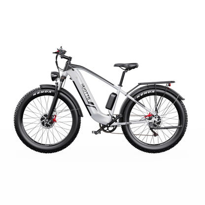 DUOTTS F26 Elektrinis Dviratis 750W Dvigubas Variklis