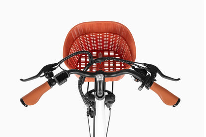 DYU C6 Pro 26 colių elektrinis miesto kalnų dviratis