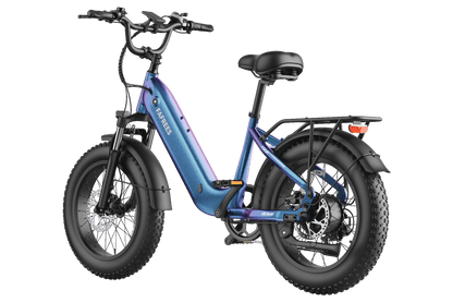 FAFREES F20 Rover elektrinis dviratis – produkto vaizdas 22