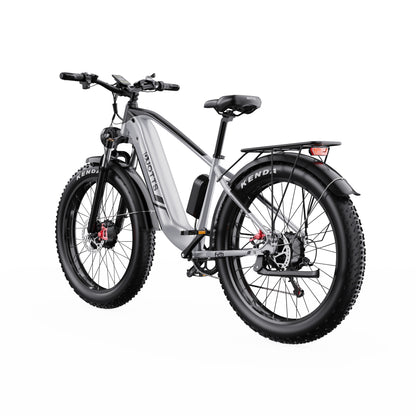 DUOTTS F26 Elektrinis Dviratis 750W Dvigubas Variklis