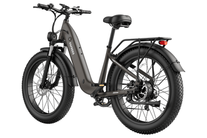 FAFREES F26 Rover elektrinis dviratis – produkto vaizdas 13