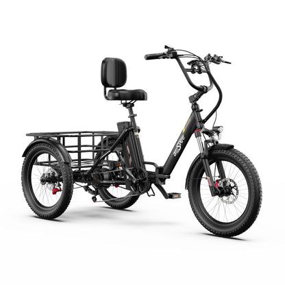 Onesport OT30 Pro E-Trike Elektrinis triratis