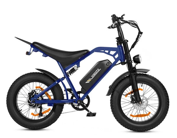 ESKUTE V202 – Retro stiliaus elektrinis dviratis