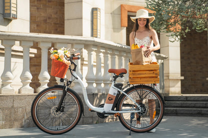 DYU C6 Pro 26 colių elektrinis miesto kalnų dviratis