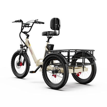 Onesport OT30 Pro E-Trike Elektrinis triratis
