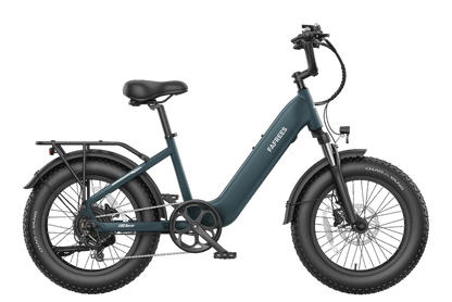 FAFREES F20 Rover  didelio pravažumo ir didelio nuotolio elektrinis dviratis