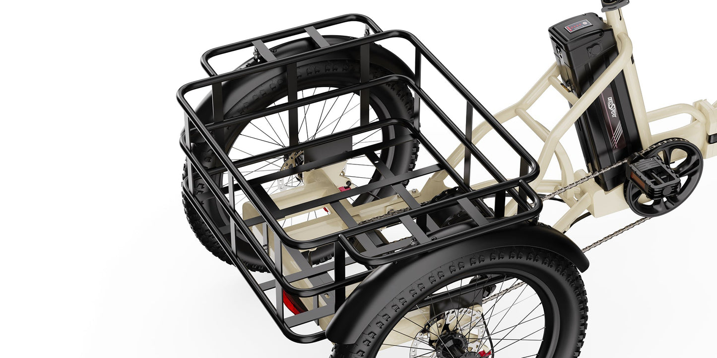 Onesport OT30 Pro E-Trike Elektrinis triratis