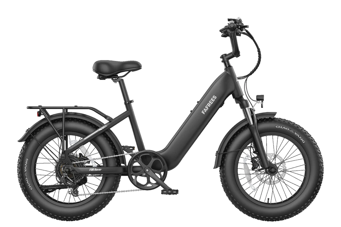 FAFREES F20 Rover  didelio pravažumo ir didelio nuotolio elektrinis dviratis