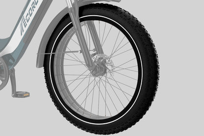 ECORUSH ECO R3 elektrinis dviratis